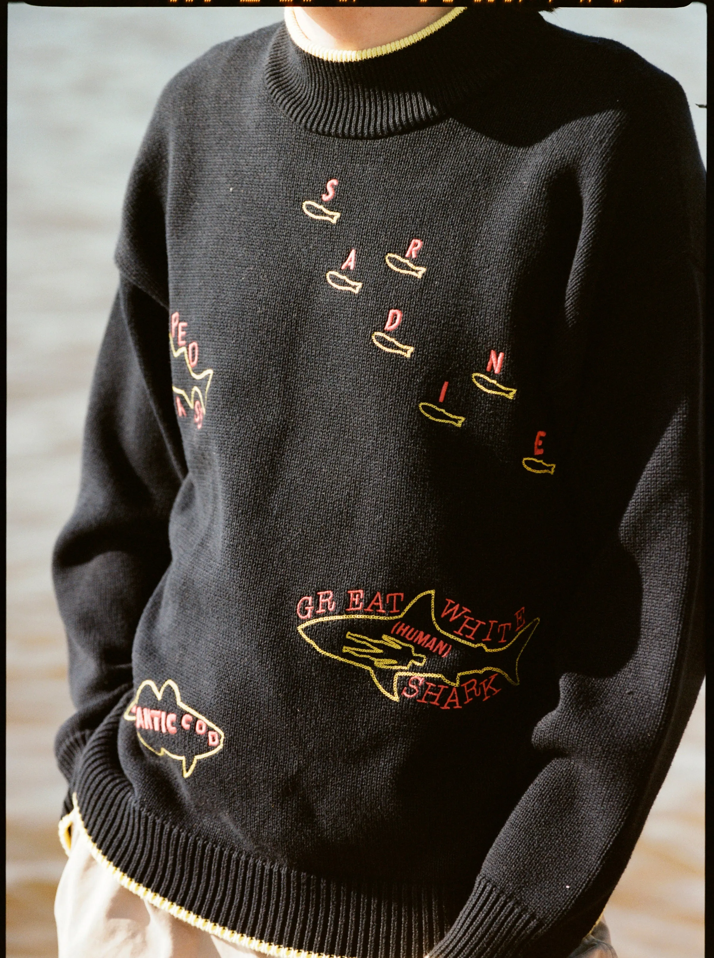 'Fishes of the North Atlantic' Sweater